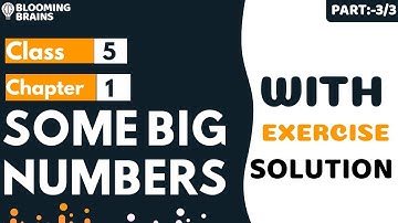 Some Big Numbers with exercise solution Part 3/3  - The Fish Tale | Class 5 Maths |Blooming Brains|