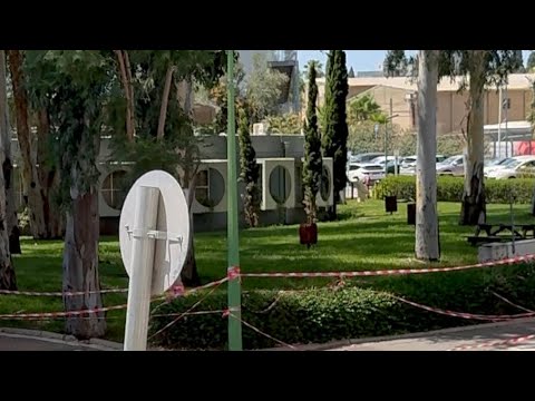 Is It Mandatory In Israel To Conduct A Safety Survey For Dangerous Trees 