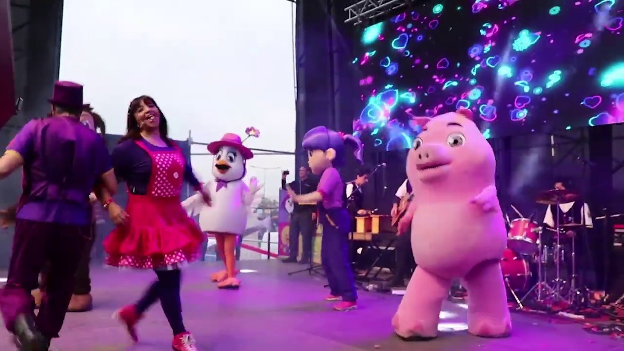 Resumen 2018 - perrito Chocolo en Vivo