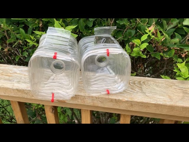 How To Make Your Own Crawfish Traps Out of Plastic Bottles!!! (2 Dollars) 