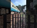 A pair of class 50’s passing Dawlish heading north 27/8/22 #trainspotting #trains #class50