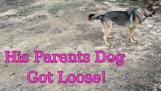 My Husbands Parents Dog Got Loose!/CALEBAMDKAYLEE by Caleb and Kaylee 8 views 3 months ago 14 minutes, 22 seconds