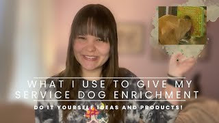 What I use to give my service dog enrichment! | DIY ideas and products we use✨