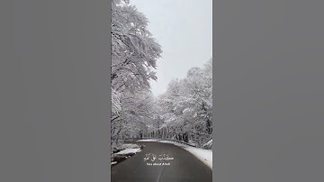 سورة الزمر. (القارئ ياسر الدوسري)-#قرآن #اكسبلور #قران_كريم #لايك