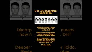DHT #testosterone #gym
