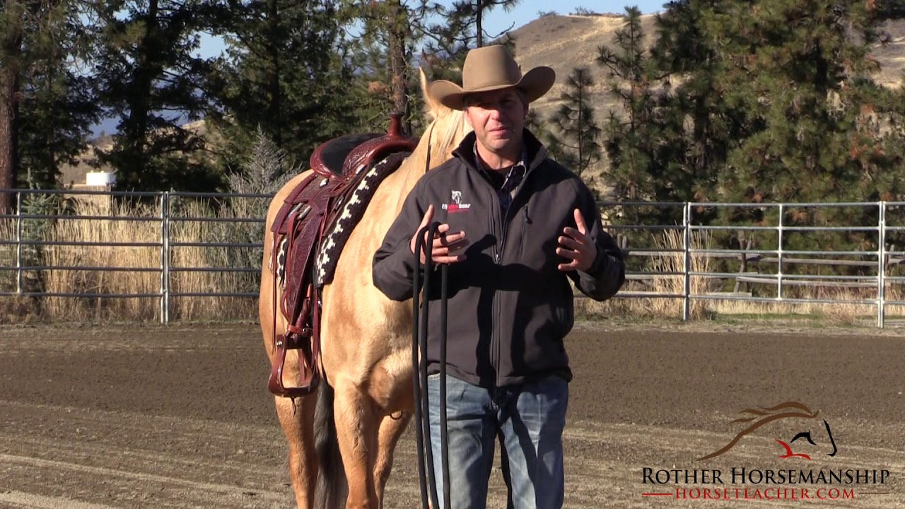 Definition Of A Horse - Steve Rother - Horse Teacher - YouTube