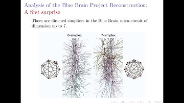 Ran Levi (6/25/17) Bedlewo: Topological analysis of neural networks