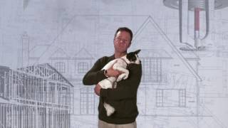 A Word From Your Puppy