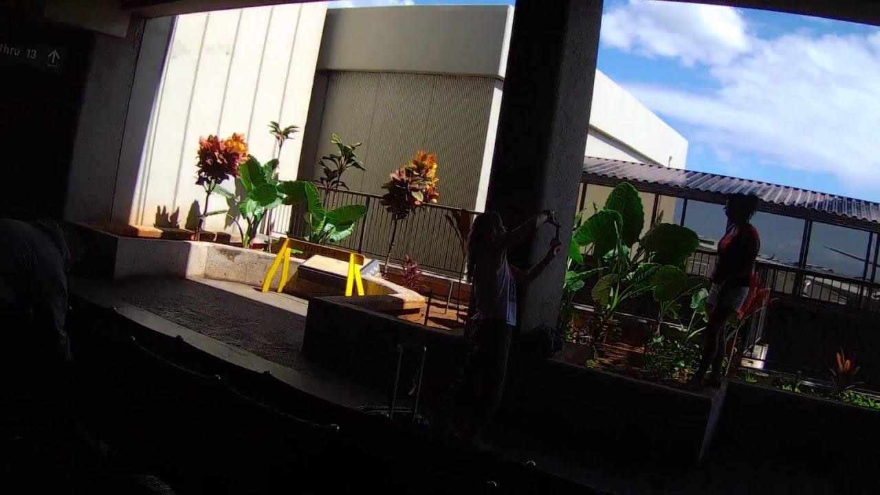 Hawaii Airport Arrival