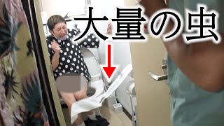 【ドッキリ】トイレットペーパーに大量の虫がいたらwww【SUSHI★BOYSのいたずら#240】