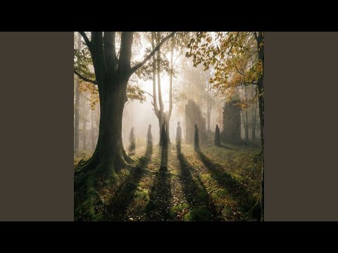Загублені тіні