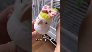 김유정이 또 이상한걸 사왔어요! / 극대노한 김로미 / 시끄러움 / 근데 짱귀여움 😂