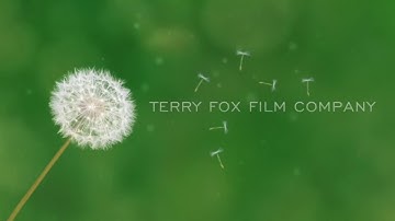 Capstone Project: robot car (part three)