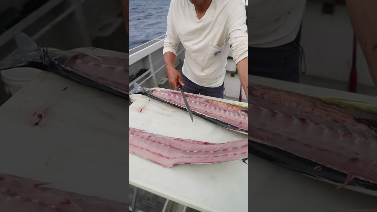 We catch OKi size fish with LegaSea Fishing Charters in Okinawa, Japan! 