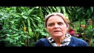 BALINESE SUSTAINABLE FOOD PRODUCTION MODEL