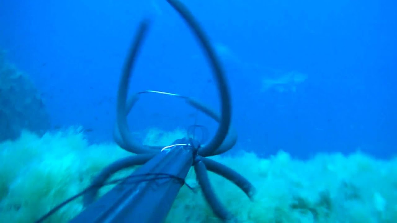 Dentice 3, aspetto profondo del 20.06.2010