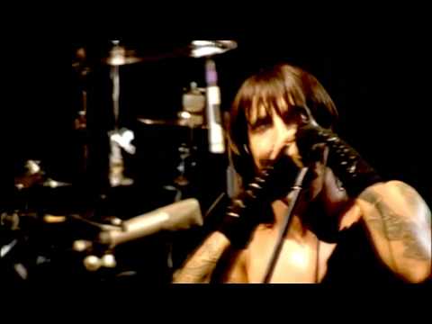 Red Hot Chili Peppers - Purple Stain - Live at Slane Castle