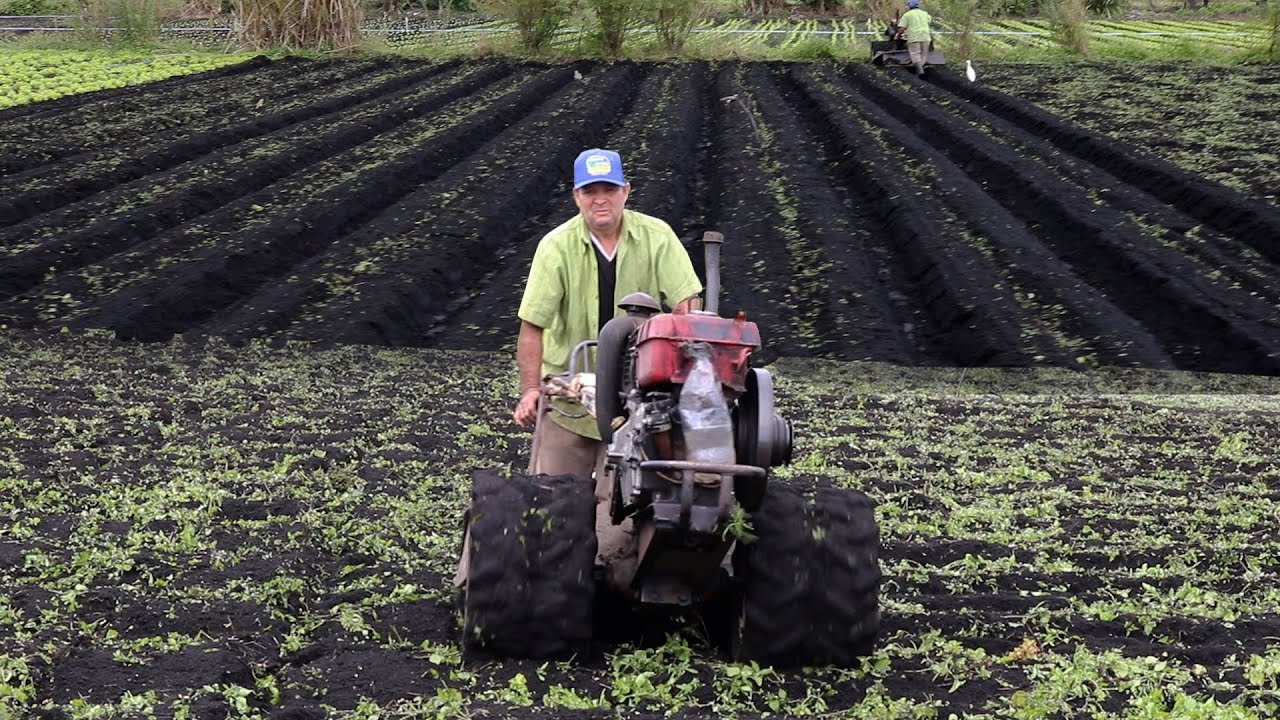 FAZENDO CANTEIRO DE HORTA COM MICRO TRATOR 