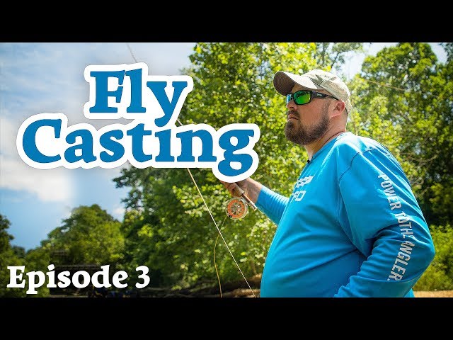 The best video for newbs to fly casting that Ive seen  The North American Fly  Fishing Forum - sponsored by Thomas Turner