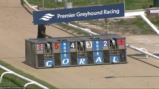 Hove Greyhound Trials 8/5/24