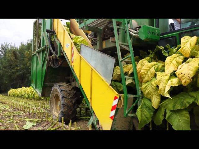 decloet tobacco harvester for sale The De Cloet Automatic buy in Tillsonburg De cloet Stripper tobacco harvester