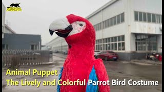 Meet the Lively and Colorful Parrot Bird Costume | Aniaml Costume