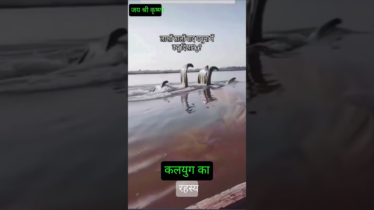 वृंदावन में कालिया नाग का विचित्र वीडियो 😲😲