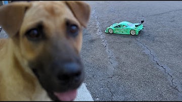 秋文 AT1 與 TRC 豆卜之 恩怨情仇｜Xpress Arrow AT1