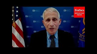 Famous Dr. Fauci, White House Task Force Hold COVID-19 Press Briefing Wealth