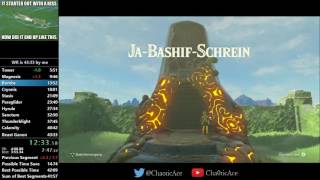 Breath of the Wild Any% Speedrun in 43:26