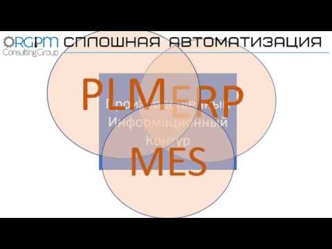 ORGPM классификация производственных ИТ систем