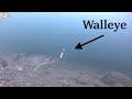 Ice Fishing For WALLEYE with UNDERWATER CAMERA | Mille Lacs Lake | EARLY ICE 2019