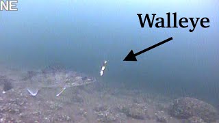 Ice Fishing For WALLEYE with UNDERWATER CAMERA | Mille Lacs Lake | EARLY ICE 2019