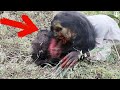 BRUJA REAL Captada en CAMARA mientras COME Personas VIDEO IMPACTANTE TERROR REAL
