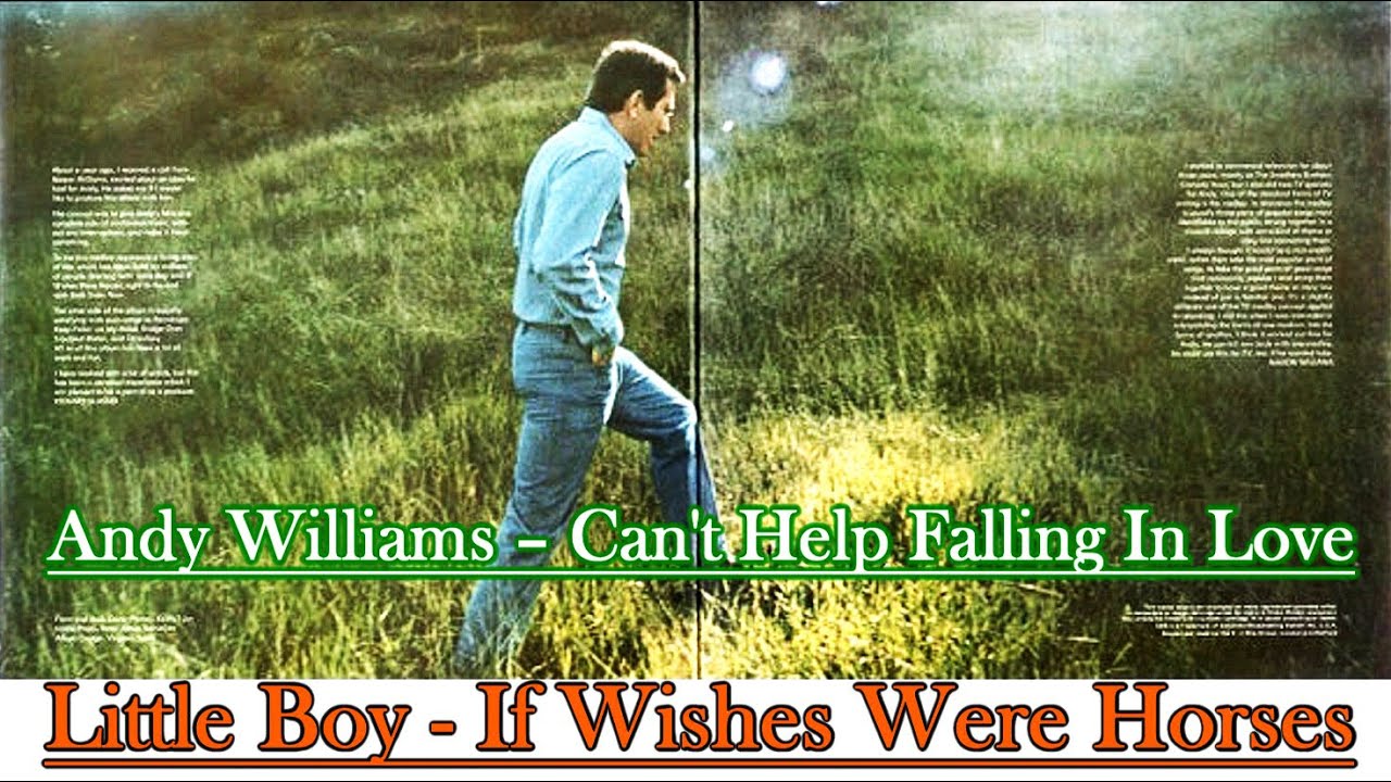 Little Boy - If Wishes Were Horses - Andy Williams (English Vinyl