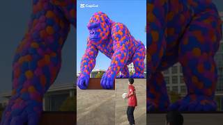 The mascot vibrato assistant with a gorilla placed on the football field is popular produced creativ The mascot vibrato assistant with a gorilla placed on the football field is popular produced creativ