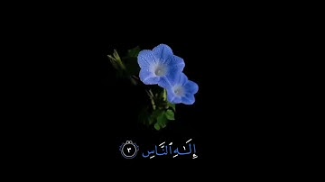 صباح الخير 💙اجمل حالات واتس اب💙 مقاطع اسلاميه قصيره💙 قران كريم سورة الناس💙 بصوت جميل💙 بدون حقوق