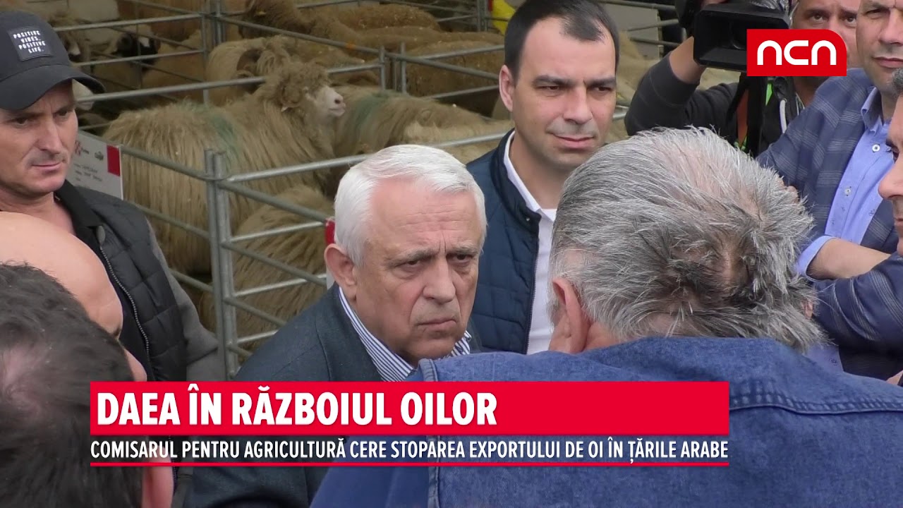 DAEA IN RAZBOIUL OILOR stories we tell