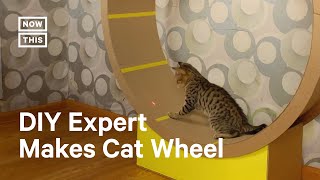 How to Build a Giant Hamster Wheel for Your Cat