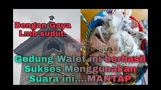 (GRATIS) SUARA PANGGIL BURUNG WALET | SP.Centilan Anakan Original @Dsbr_production