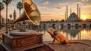 Kara Bahtım Kem Talihim / Adanalı Aziz Şenses / Taş Plak Kayıtları