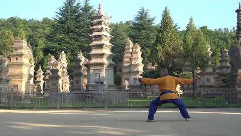 4 Shaolin Xiao Hong Quan 少林小洪拳
