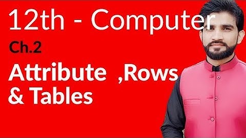 ICS Computer Part 2, Ch 2 - Attribute,Rows & Table - Inter Part 2 Computer