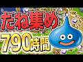 【DQ6】1400個のたねでスライムLv.1の全ステータスをカンストさせる