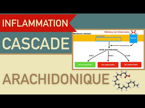 Vidéo: Pourquoi l'acide oléique n'est pas essentiel ?