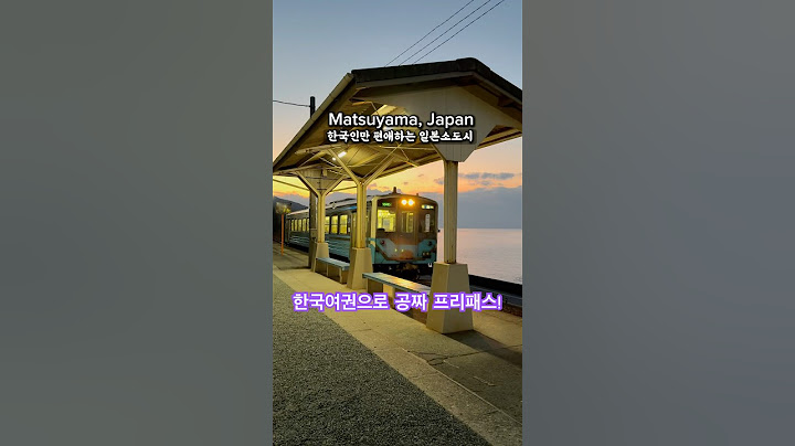 한국여권만 있으면 공짜 일본소도시 여행!!✈️입장료,공항리무진🆓!!愛媛県松山旅行