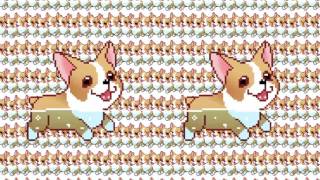 ↠ CORGI ORGY ↞