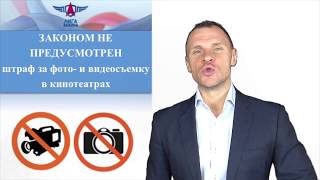 Какие штрафы можно не платить?