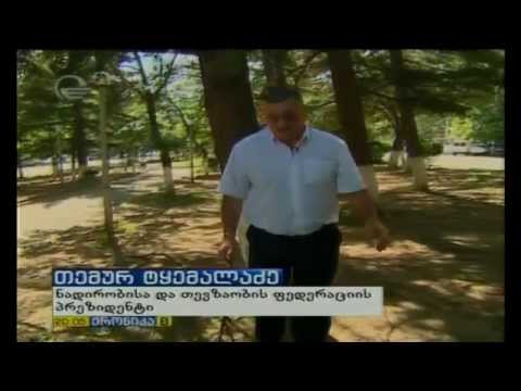 როგორ დავიცვათ თავი მტაცებელი ცხოველისგან