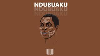 NDUBUAKU - Burna Boy x Fela x Afrobeat Type Beat | Afro Beat Instrumental | Afro Fusion Guitar
